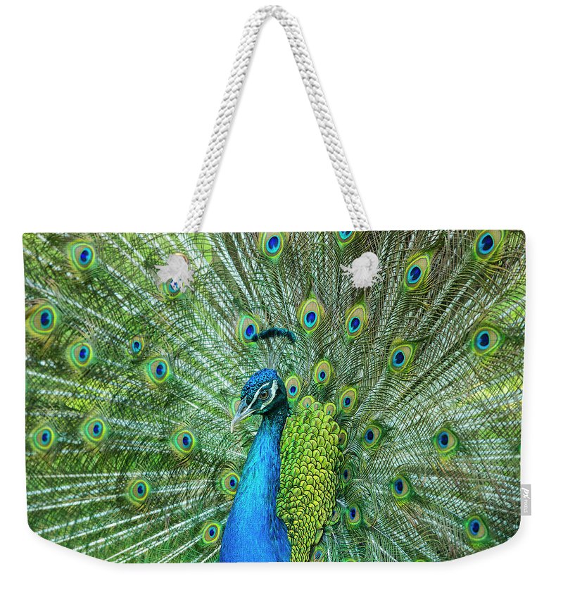 peacocks beach bags