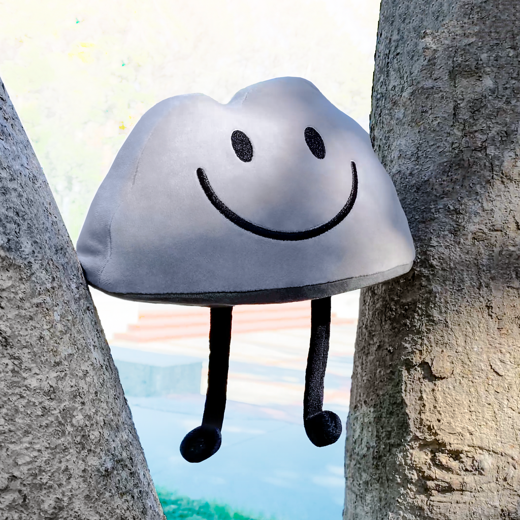 rocky bfdi