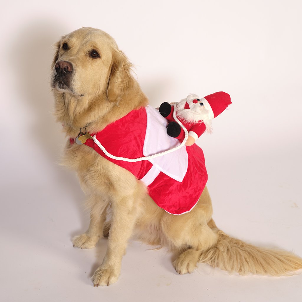 Läs mer om Hundens Jultröja - Jultomten