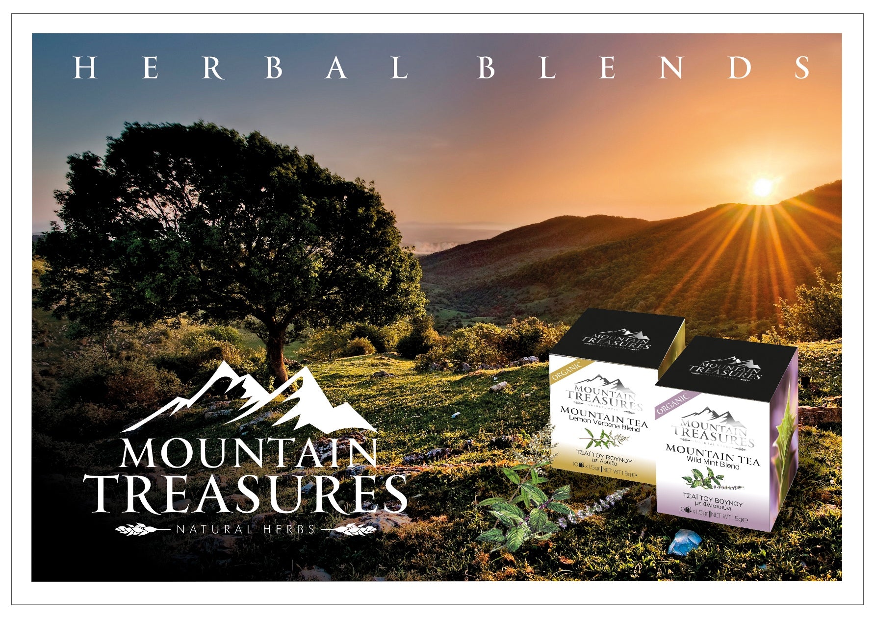 Mountain tea blends with lemon verbena and wild mint by gourmet grocer grecian purveyor.