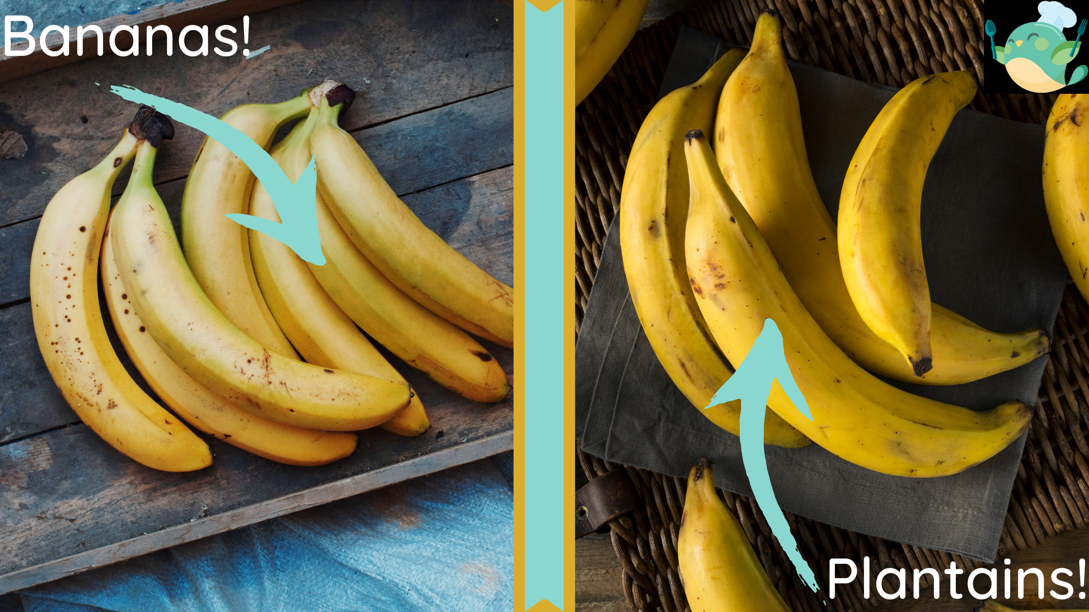 bananas and plantains with eat2explore logo