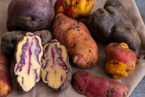 Peruvian native potatoes