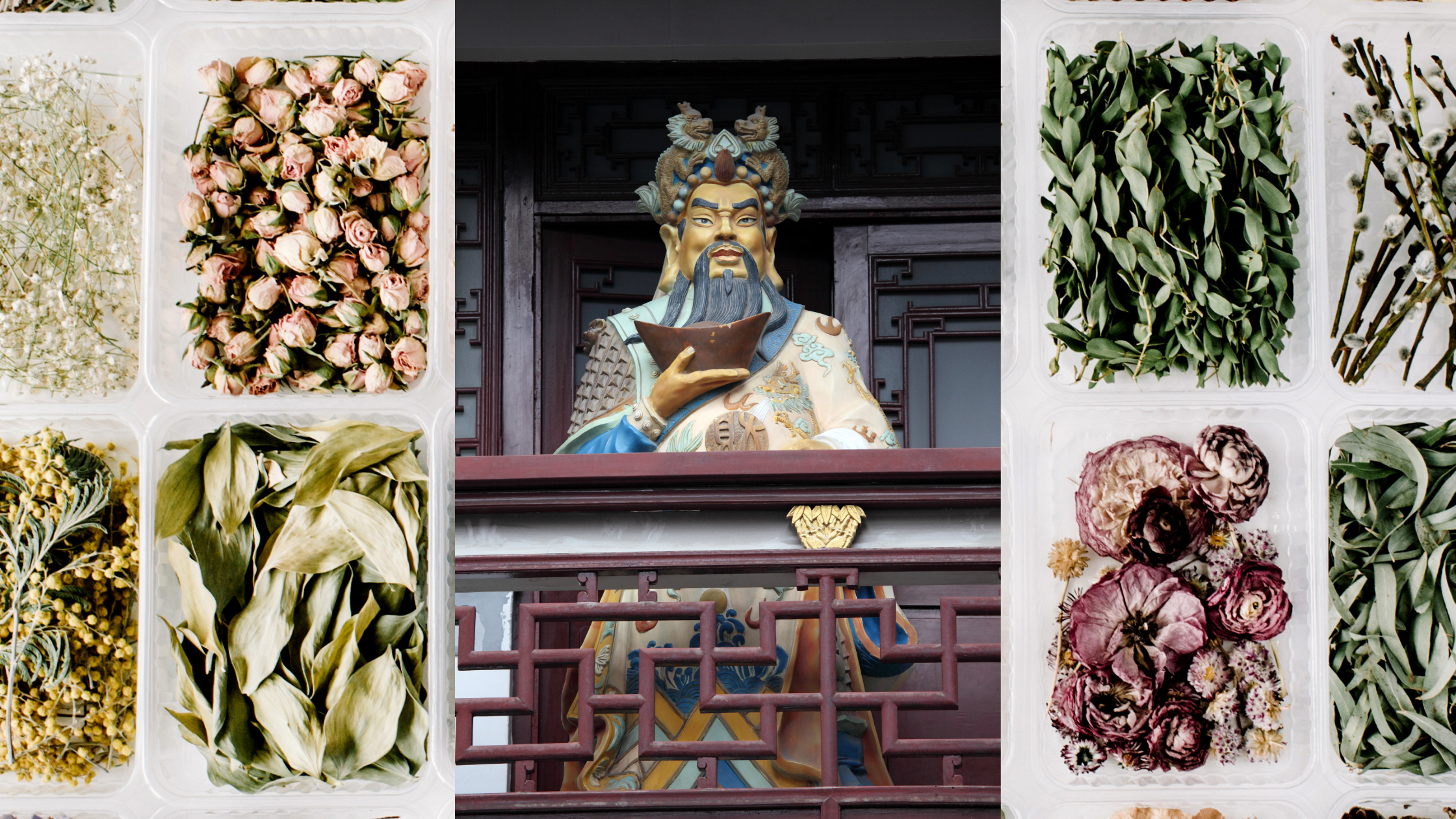 statue of chinese emperor with background of different dried leaves and flowers