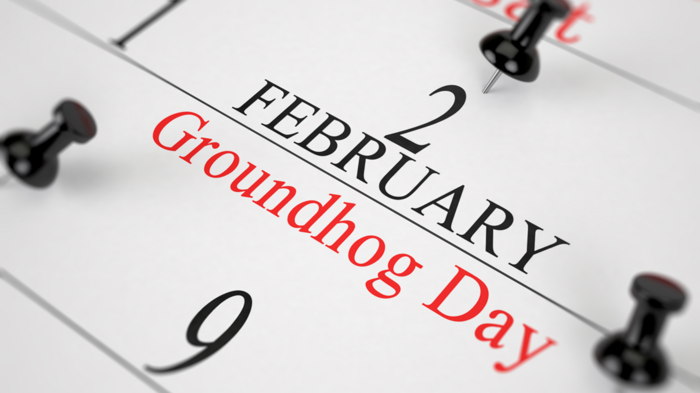 Calendar with February 2 Groundhog Day