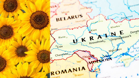 Ukraine map with sunflowers
