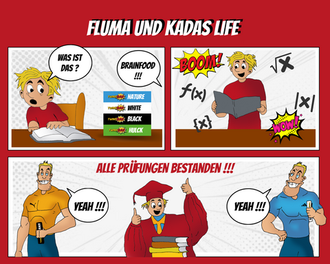 Fluma & Kadas - Brainfood - TWINSBAR - Veganer Schokoriegel, Schokolade, Schokoriegel, Fruchtriegel, Energieriegel, Brainfood, Vegan, Snack