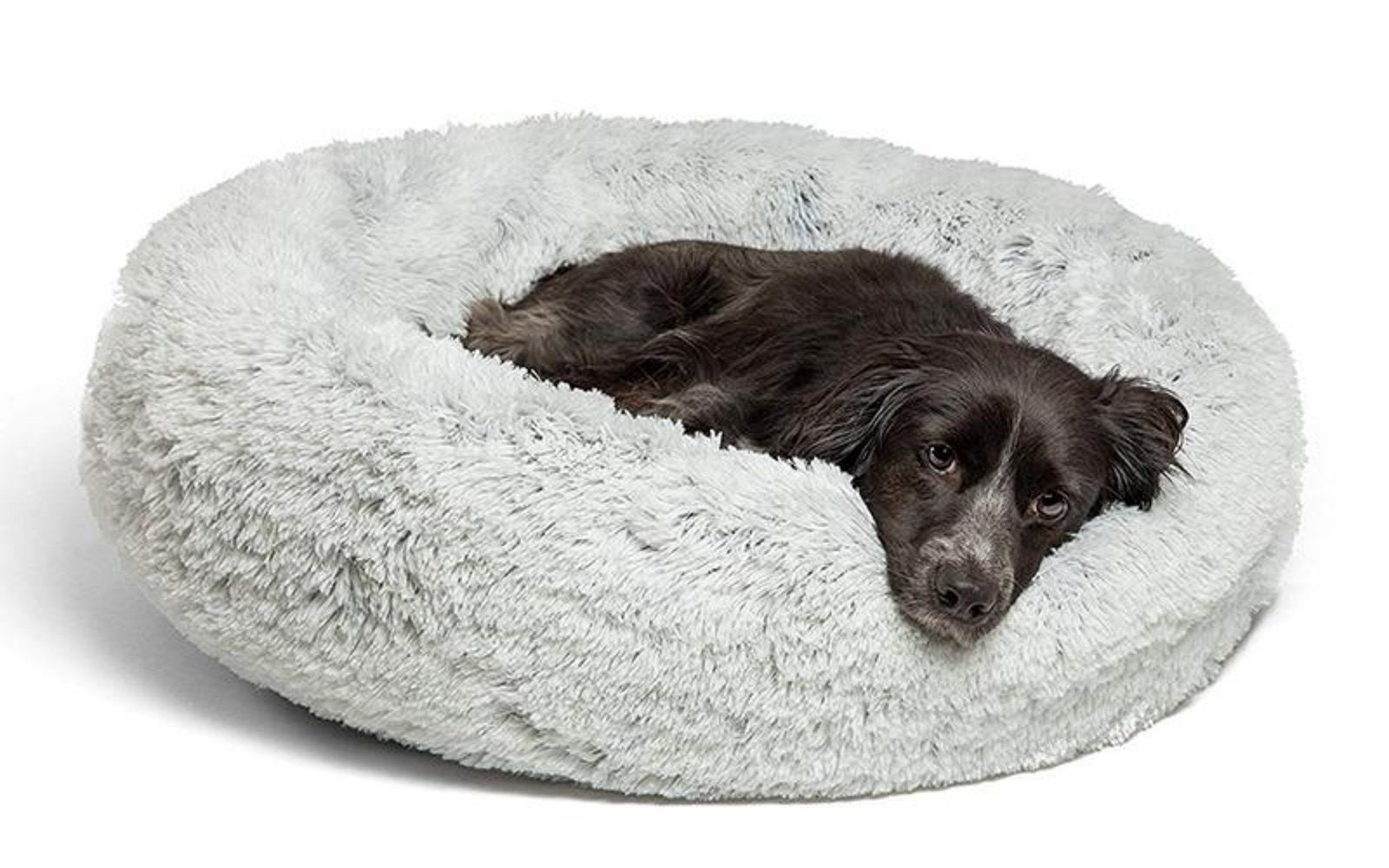 dog bed cushion