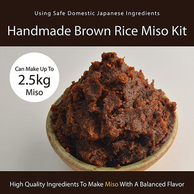 How to Make Miso Paste (Kome Miso/Shinshu Miso) - Alphafoodie