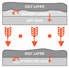 Illustration depicting the impact the order in which we apply product has on our skin and its moisture content. 
