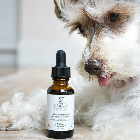 cbd oil for dogs 250mg, hemp oil for anxiety