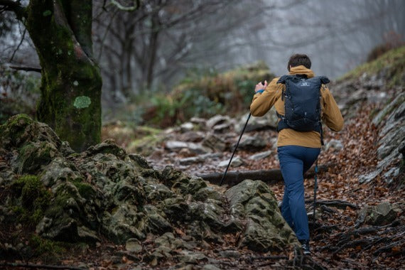 Woods Hiking