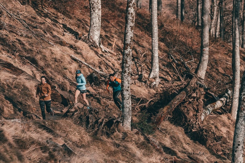 Group Trail Running Woods