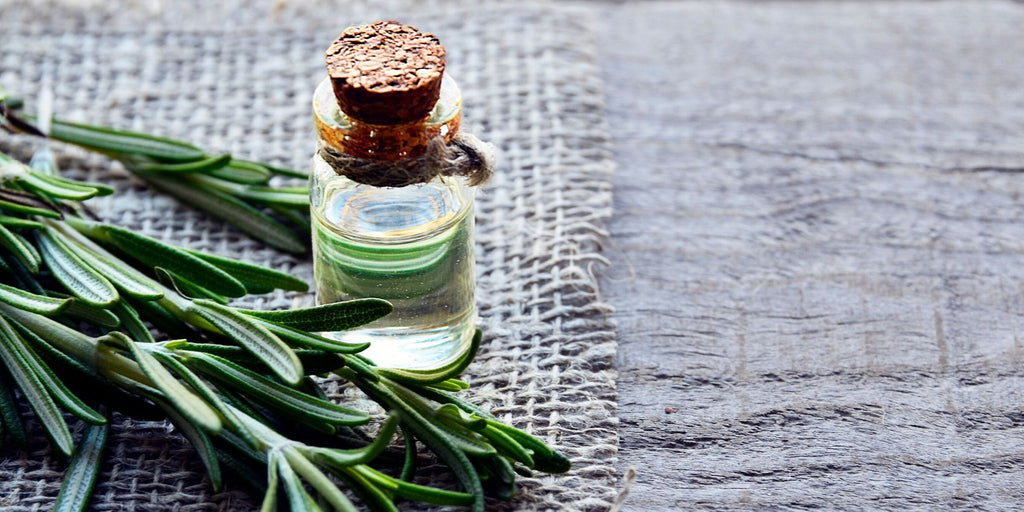 rosemary for the shower