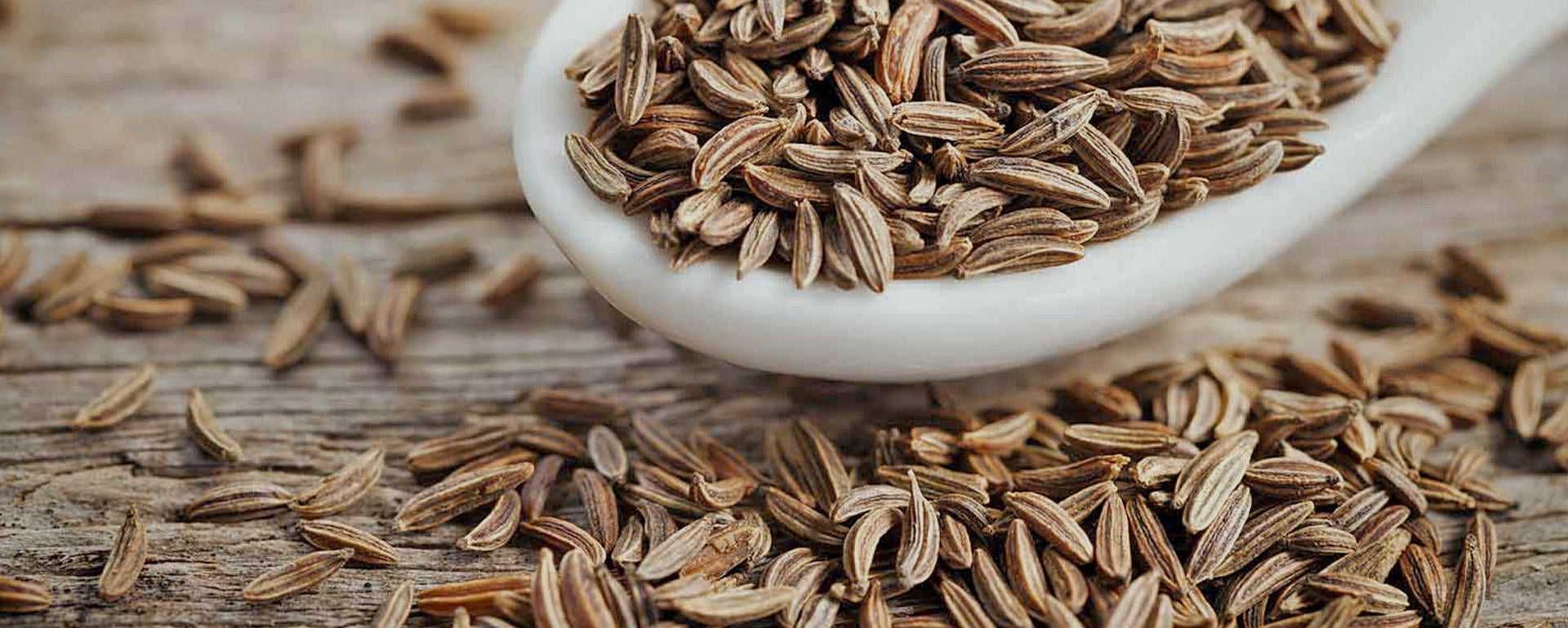 Cumin Seeds For Hair Skin And Weight Loss  Century Spices  Snacks