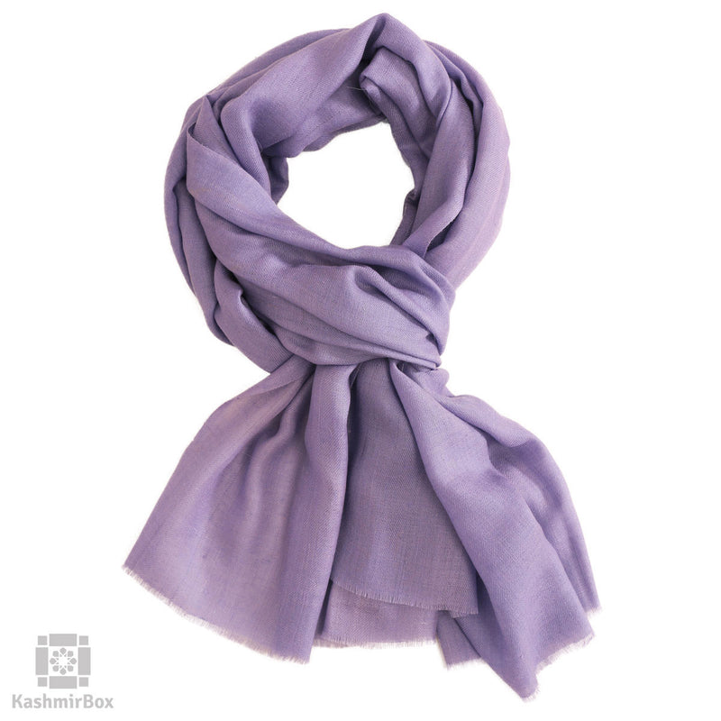 Buy Online Plain Cashmere Pashmina at Best Prices