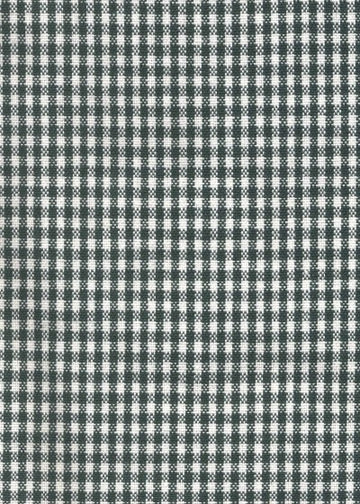 20 x 28 Plaid Towel - Lime & White – Miller's Dry Goods