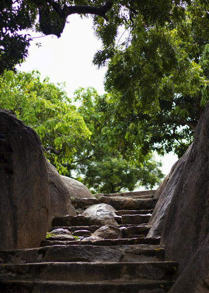 Staircase made out of stone going upwards towards lush green trees. A photograph from Mahabalipuram, Tamil Nadu