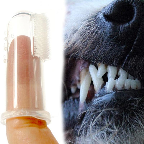 dog finger toothbrush