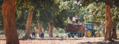 Cork Leather Harvest