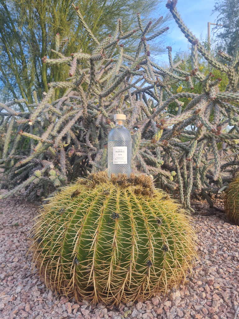 How to display your Isle of Harris gin, Arizona style.