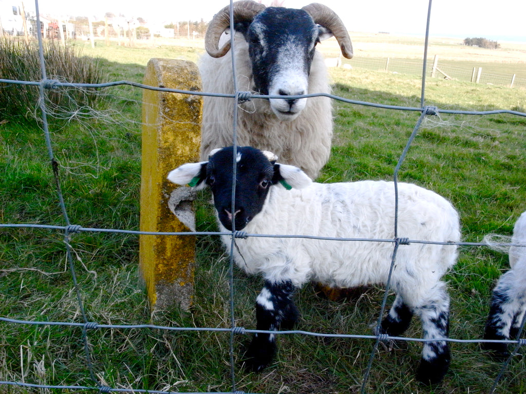 A proud mum keeps a watchful eye on a brighter day.