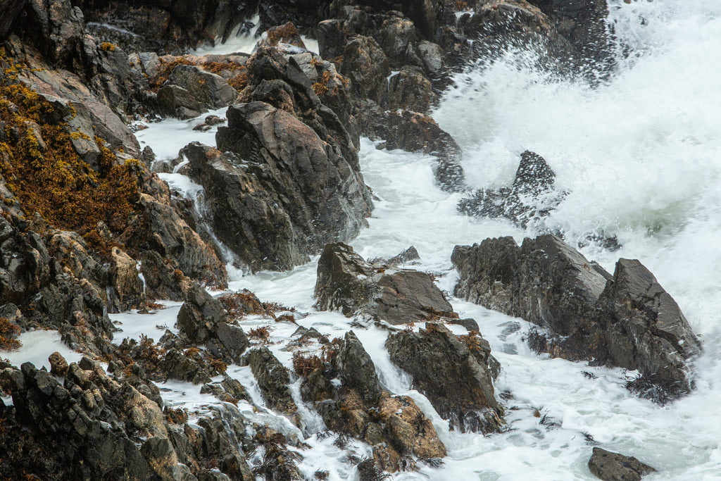 A dangerous harvest on the rugged rocks of the island's east coast.