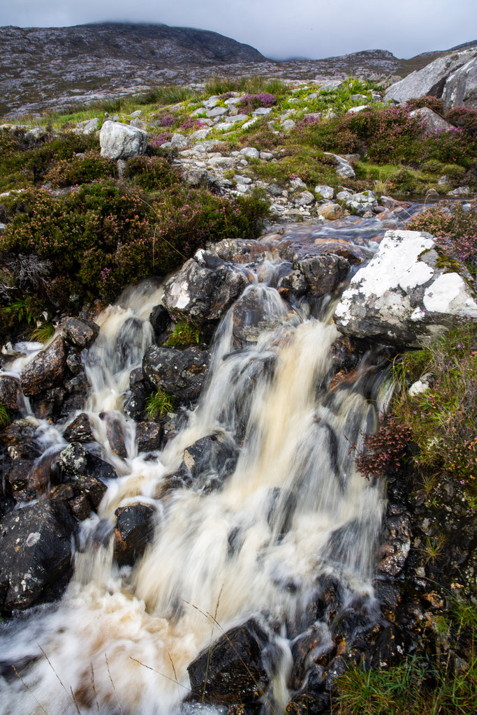 The streams which feed our water source swell with summer rains.