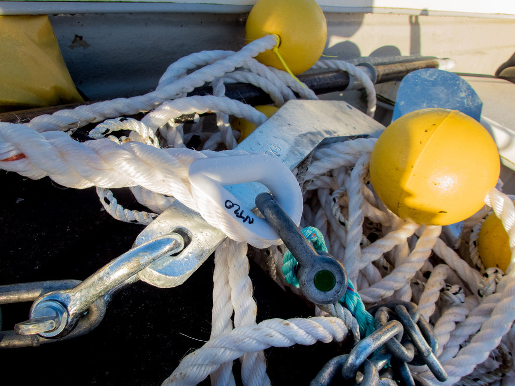 Ropes ready to go to sea for seeding at the new seaweed farm. Image © Lewis Mackenzie