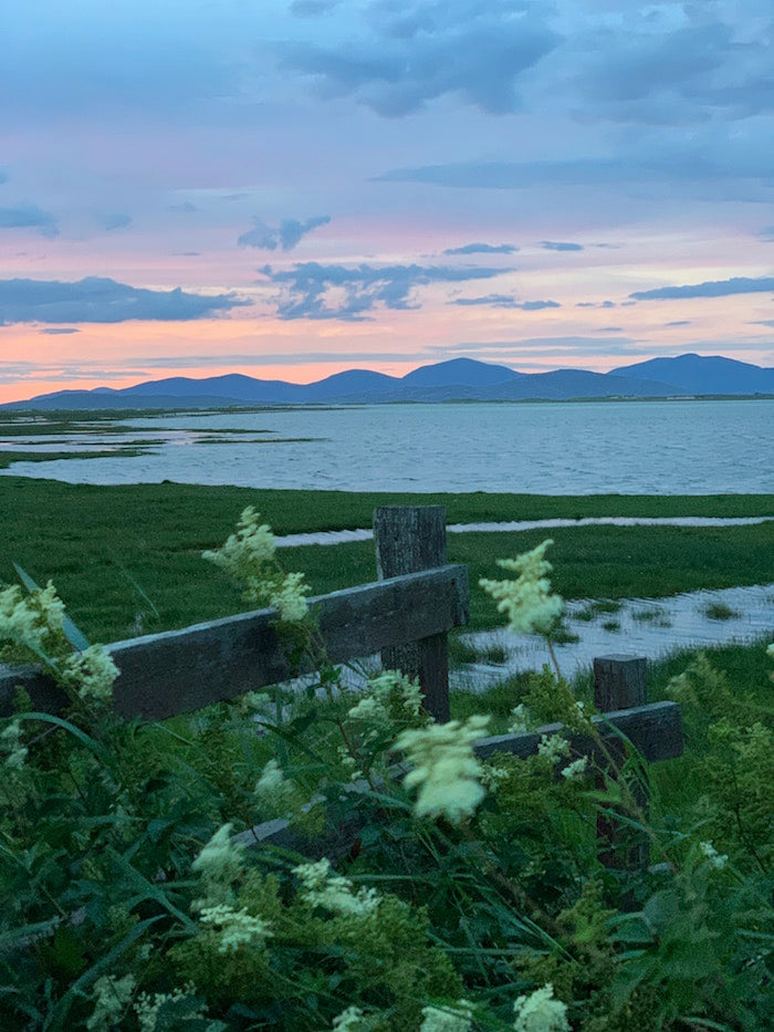 Meadowsweet and mountains, Isle of Harris. Image © Amanda Saurin