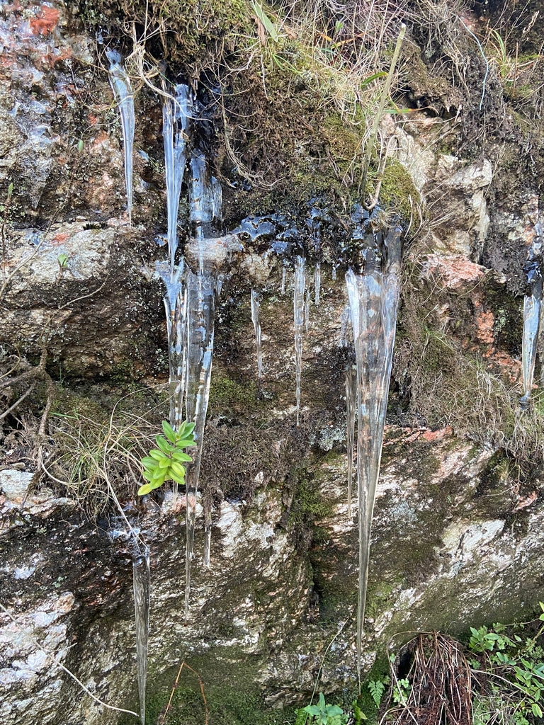 Giant icicles cling to the cracks and crevices of cliffs.