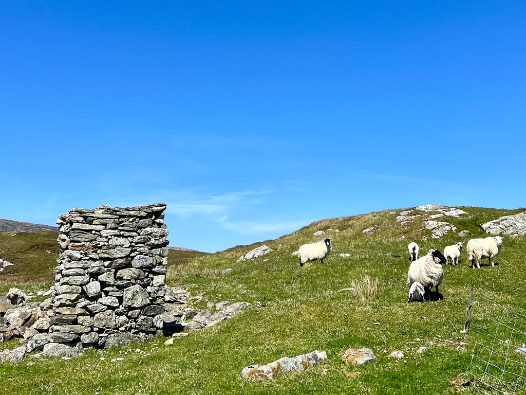 Cusp of summer scenes on the Isle of Scalpay, just off Harris, this afternoon.