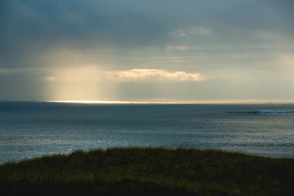 Brief glimpses of sun amidst the grey of a September day.