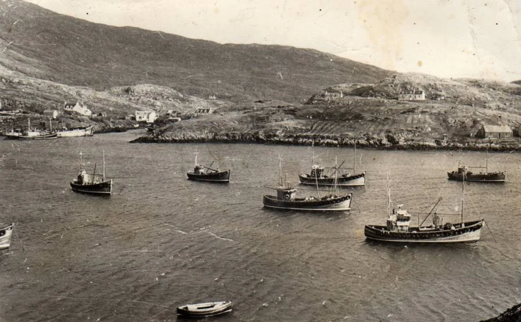 Herring boats and ring-netters, North Harbour, Scalpay 1960s.