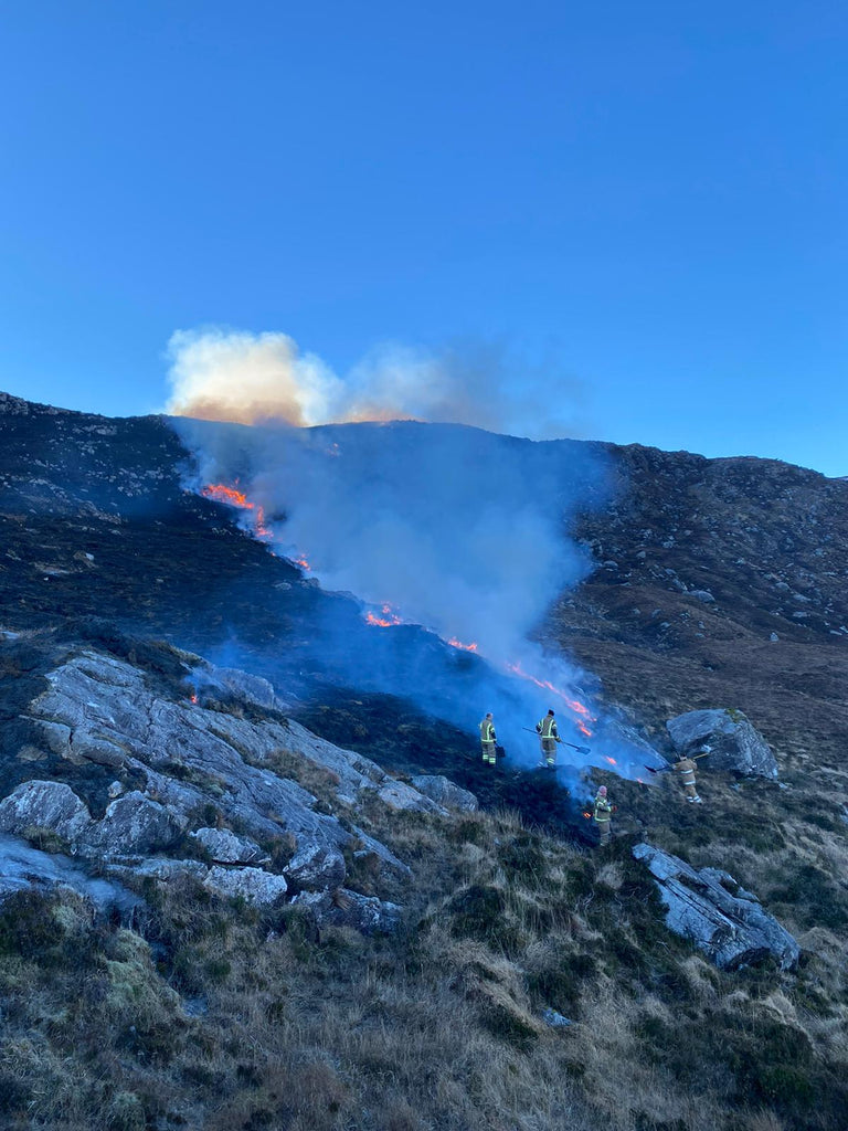 Local fire crews work hard to keep things under control. Image © Stevie Passmore