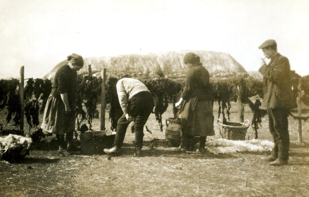 Dyeing with natural lichens (crotal). Image © Harris Tweed Authority 