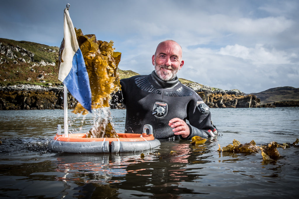 Our happy harvester - The Kelp Man gets hands-on with healthy local seaweed.