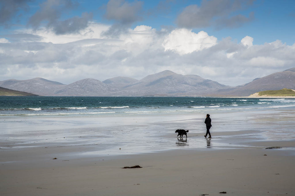 Empty winter beach walks at Luskentyre and Seilebost, where cobwebs are blown away.