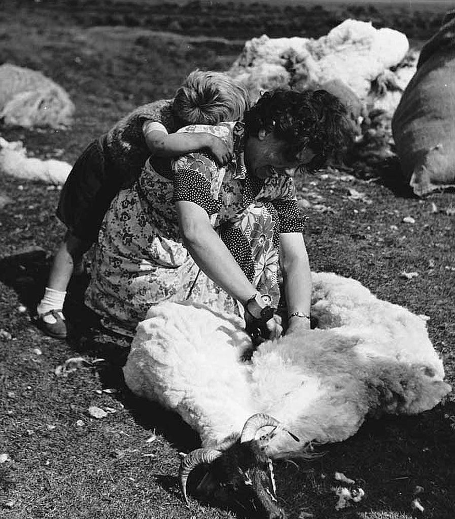 The hard work of shearing wool was always done by hand.