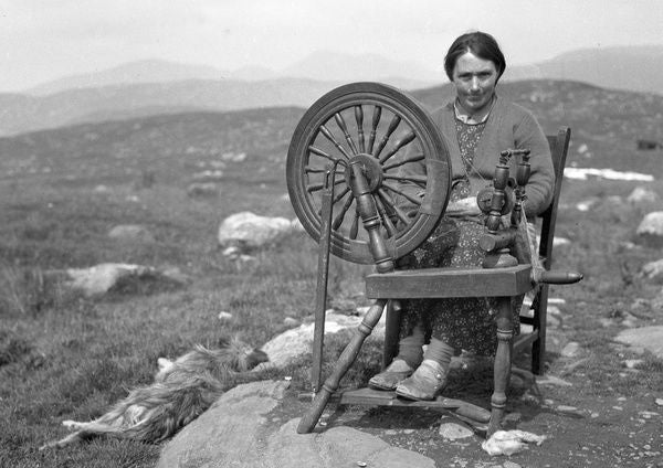 Spinning dyed wool by hand on the traditional wheel.