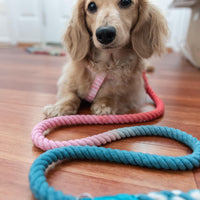 Rope Leash Jack Jill Sassy Woof