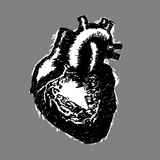 Poe's Tell-Tale Heart logo Novel-T shirt