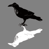 Edgar Allan Poe The Raven T-shirt design Novel-T