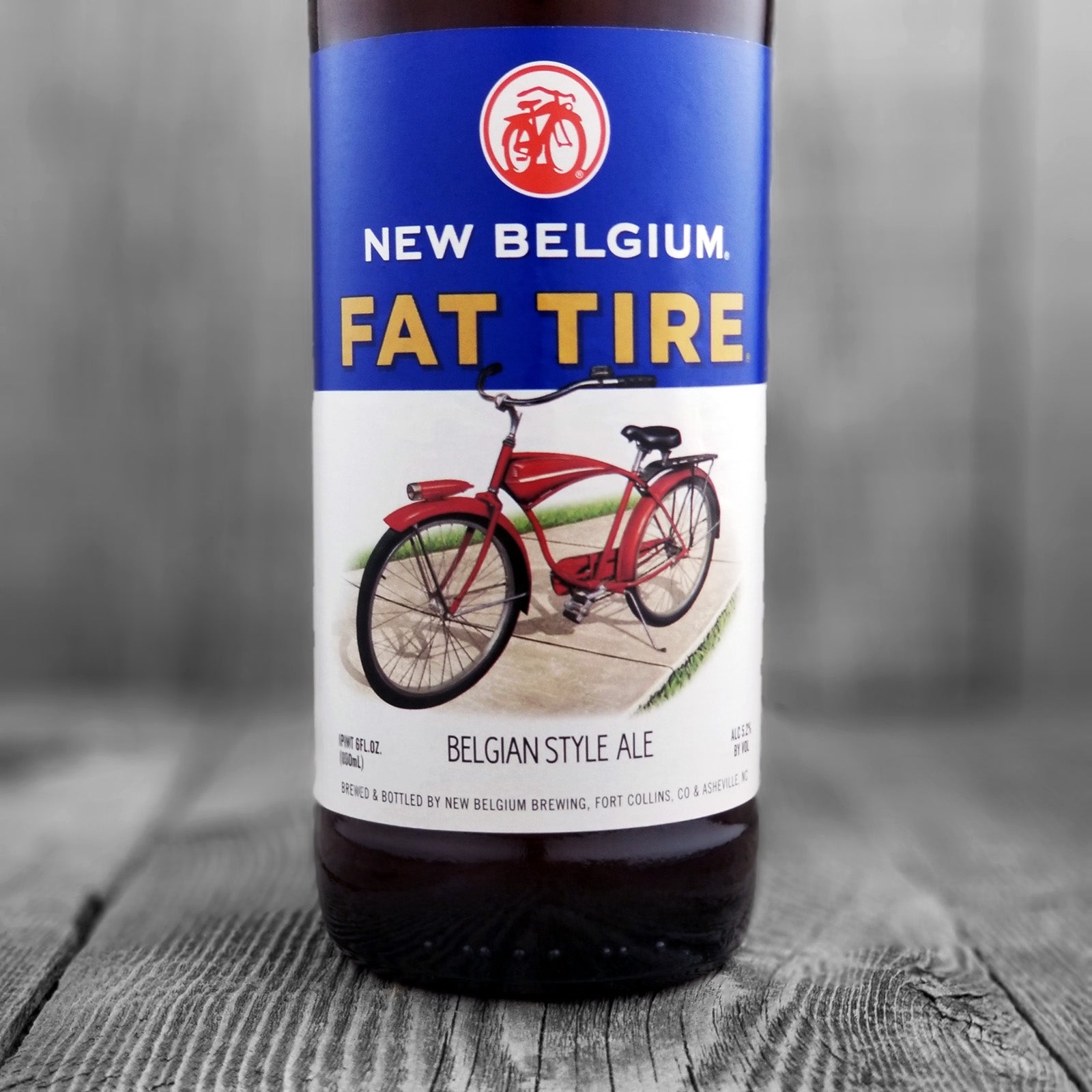 new belgium fat tire bike