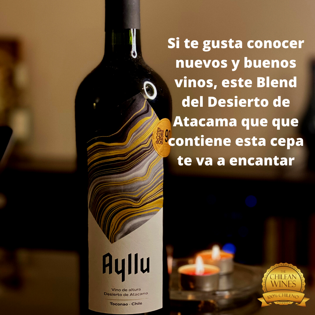 blend ayllu selección tinto ensamblaje de vino del desierto en chileanwines chilean wines chile wine