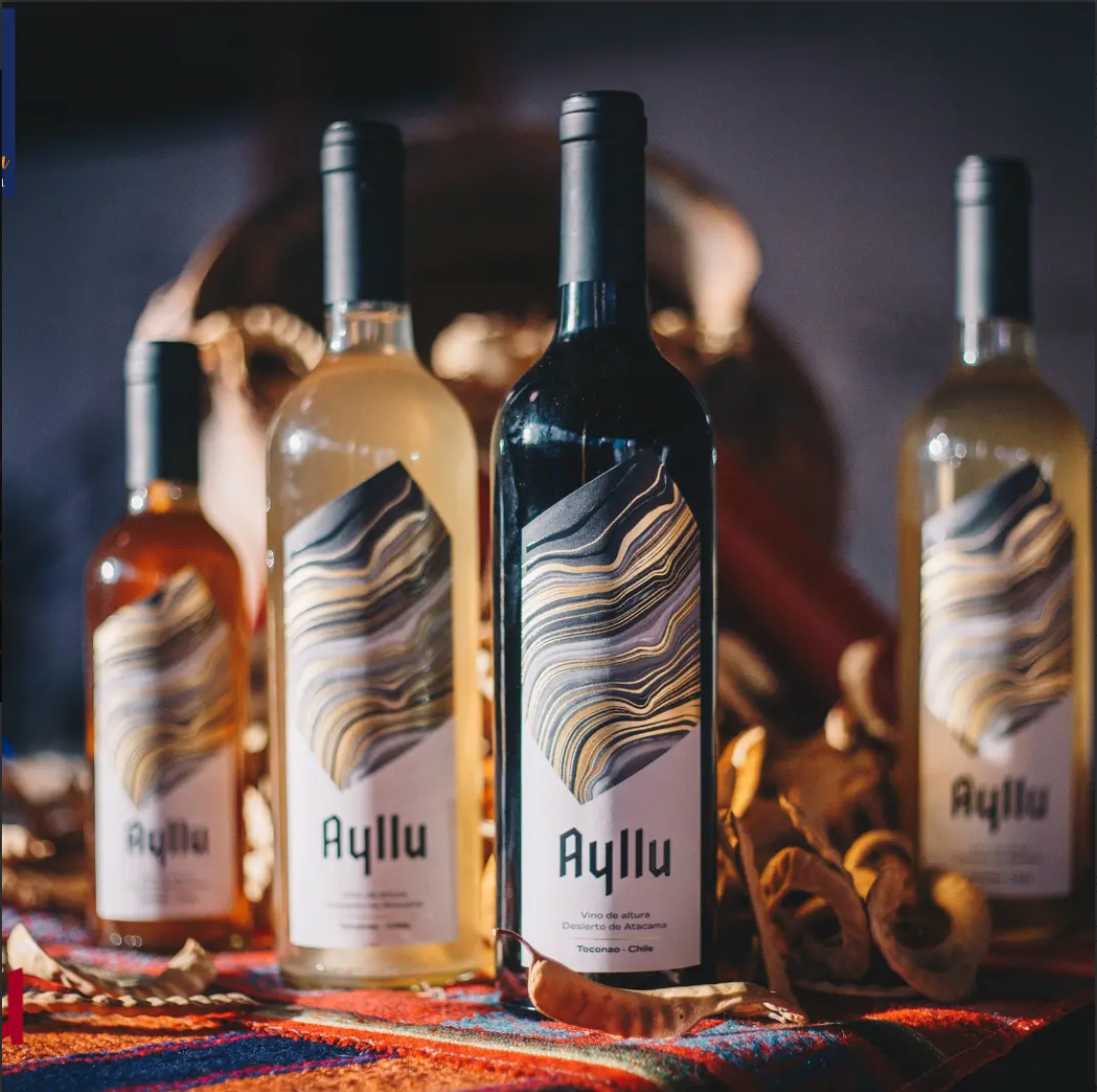 vinos ayllu en chileanwines - buenos vinos de selección vinos chilenos vinos del desierto de chile atacama