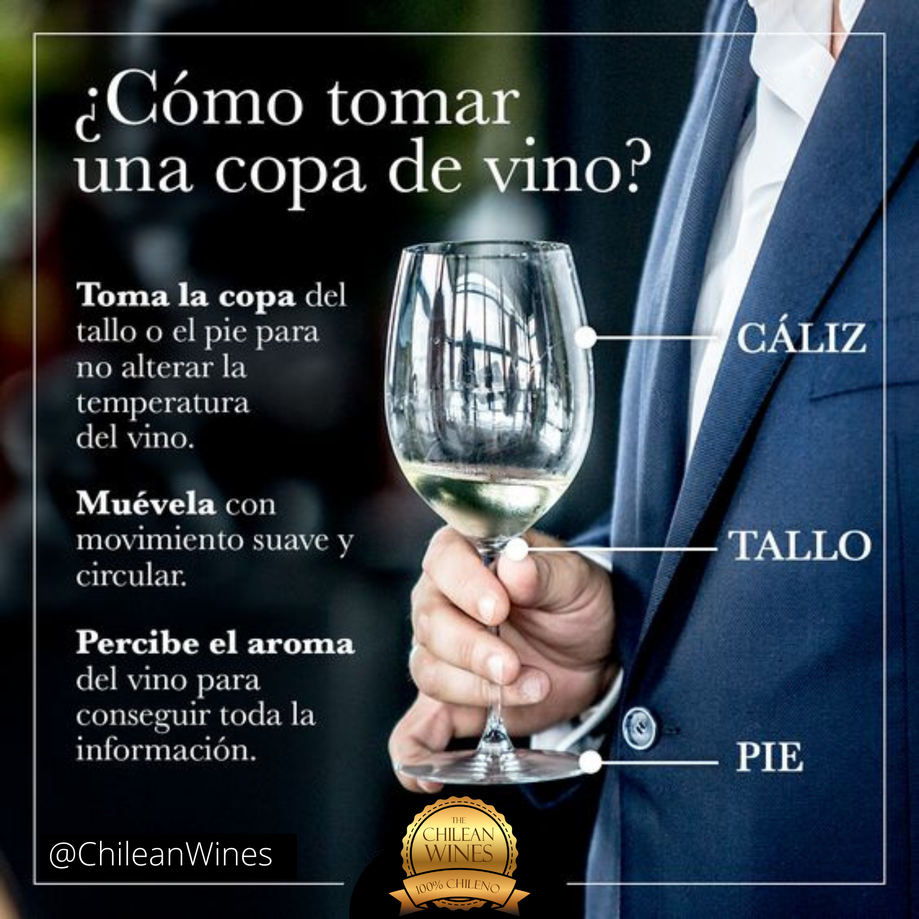 como tomar una copa de vino