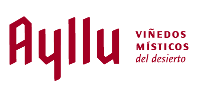 viñedo ayllu - vinos del desierto de chile en ChileanWines - Selección de vinos chilenos