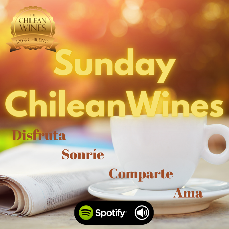 playlist sunday chileanwines en spotify musica canciones para disfrutar