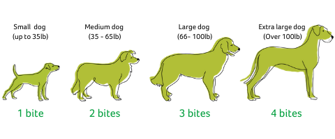 Tasty Bites feeding guidelines