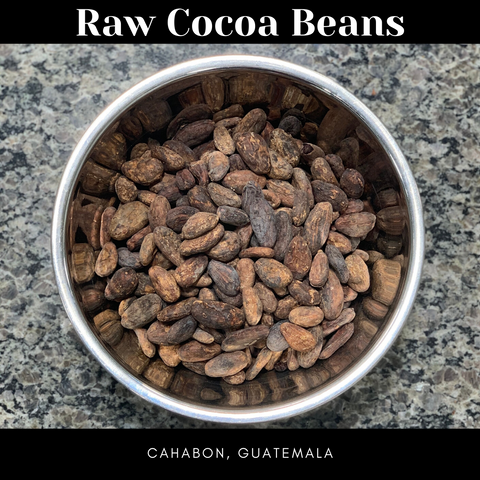 raw cocoa beans